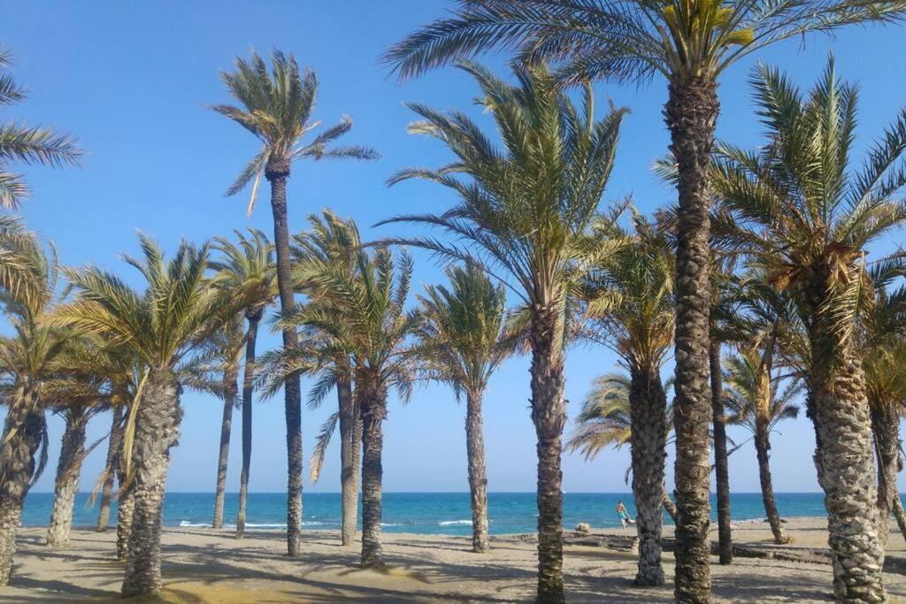 Lejlighed #409 Near Beaches &free Wifi *